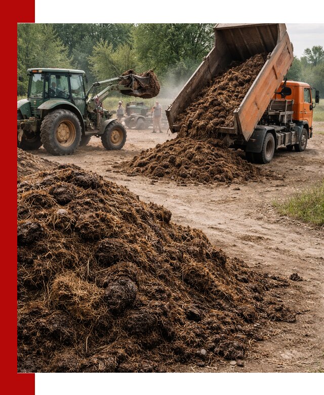 Доставка навоза самосвалами в Магадане для сельхозпотребностей